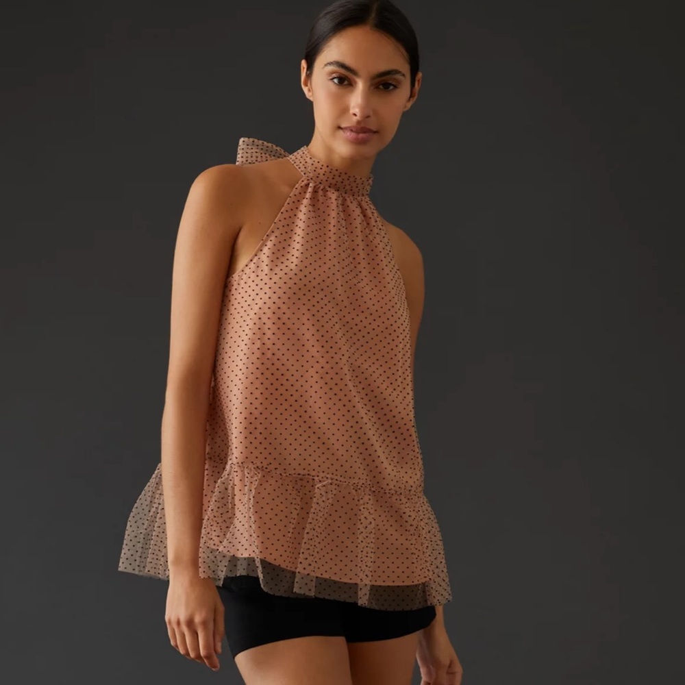 NWT Anthropologie Maeve Polka Dot Sheer Ruffle Top - Gorgeous! - Picture 2 of 4